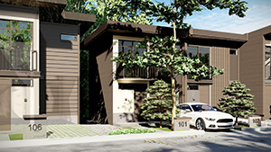 Clusterer 2BR Cabin House